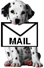 Dalmatiner hvalp - genvej til e-mail